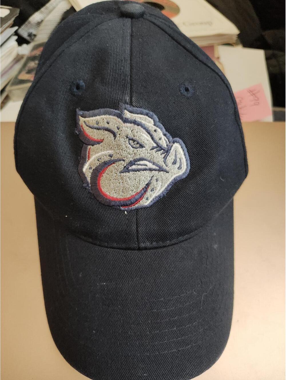 Lehigh valley Ironpigs minor league Baseball hat/Cap Youth